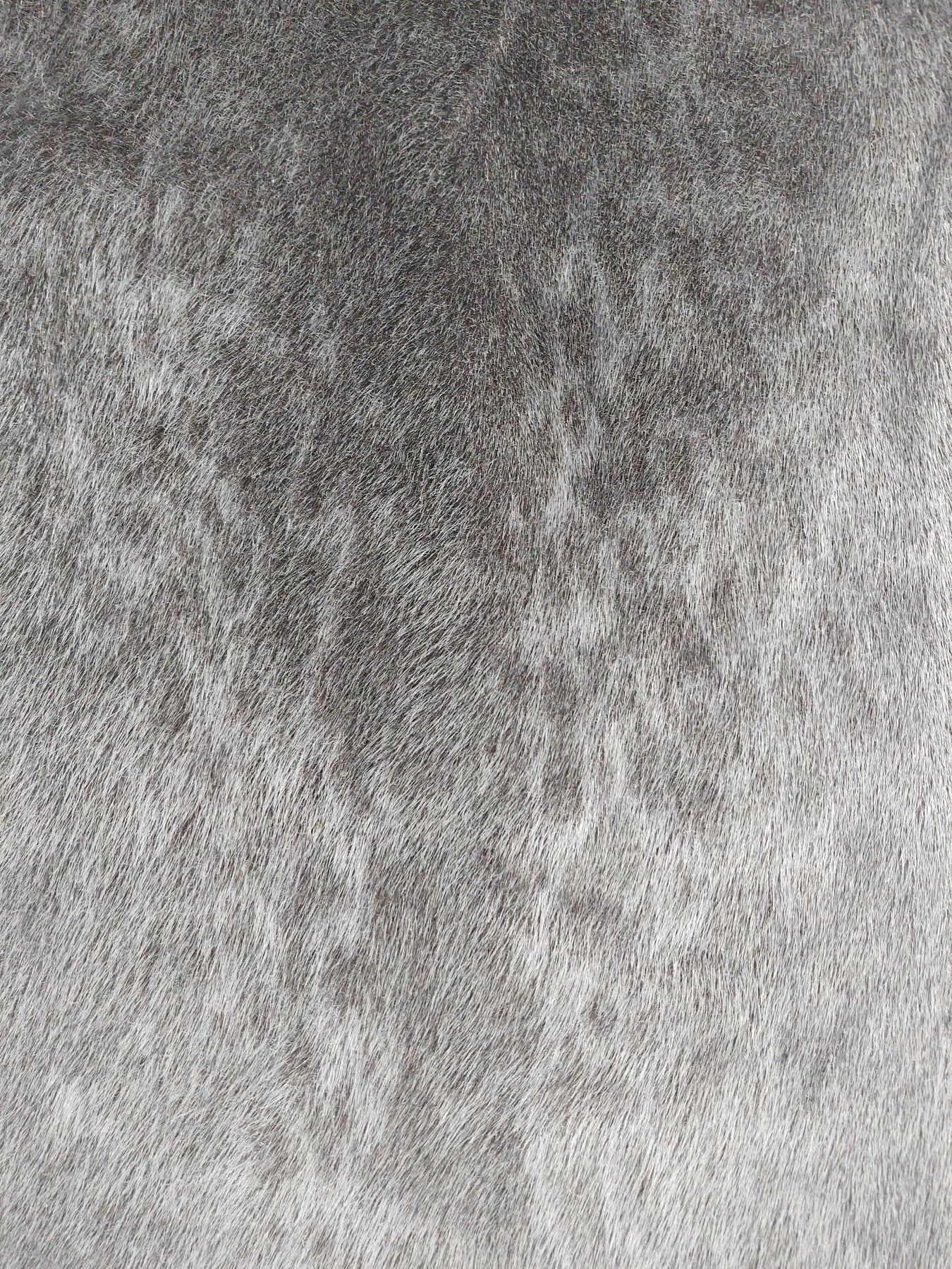 Fur skins and care - Seal skin