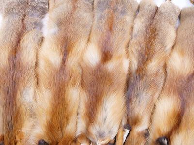 Red Fox - Dressed Fur Skin - Fur