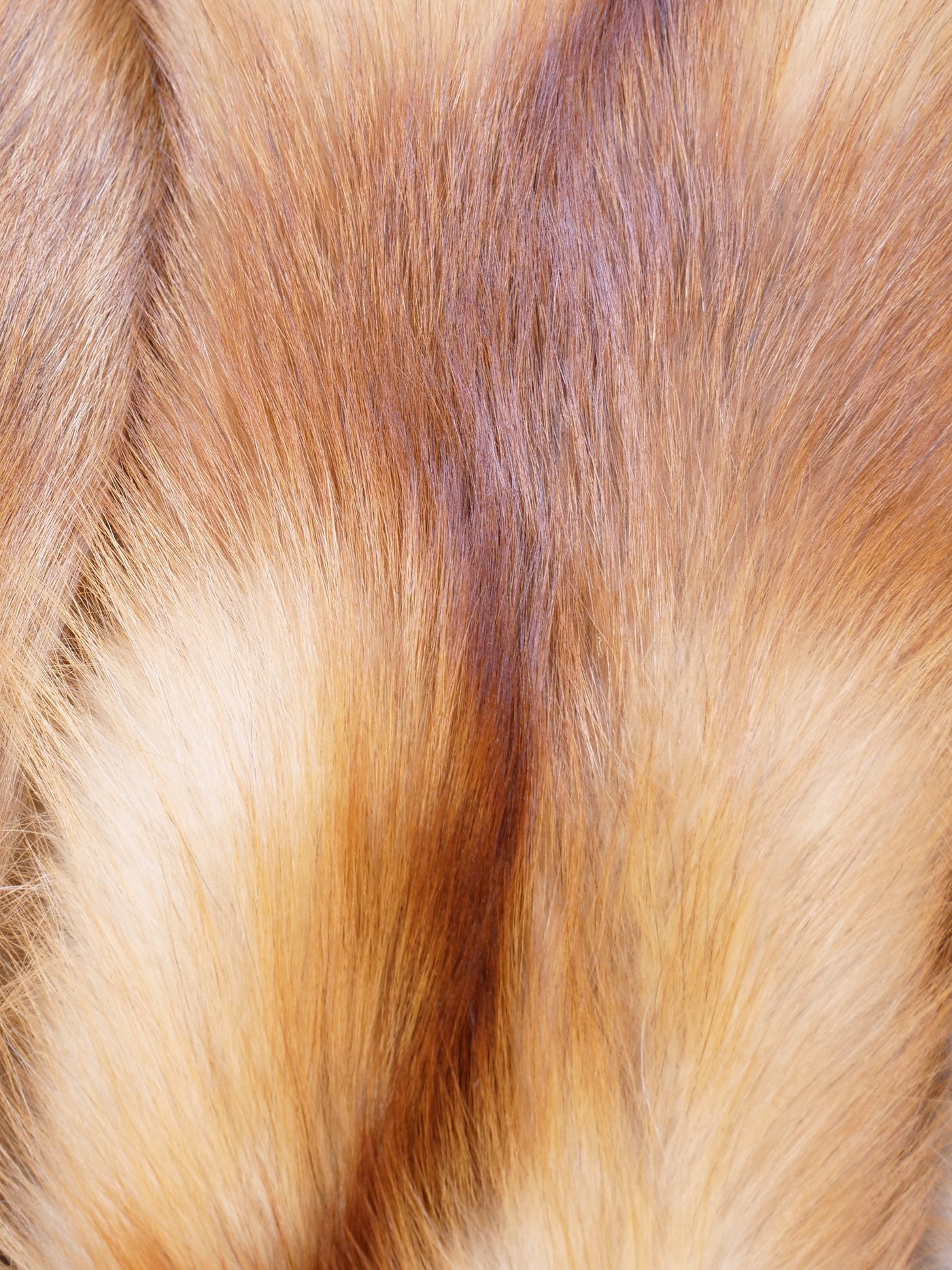 Red Fox - Dressed Fur Skin - Fur