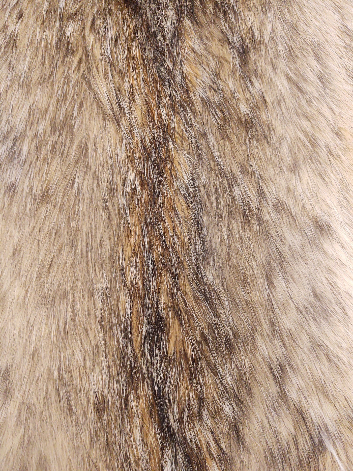 Coyote  - Dressed Fur Skin - Fur | STAMPE PELS