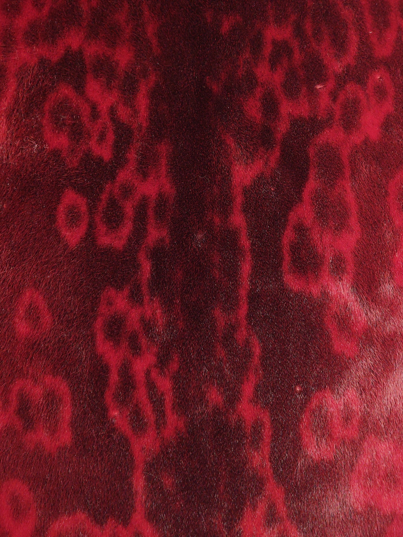 Ringed Seal (Ringsæl) Red - Dressed Fur Skin - Fur | STAMPE PELS
