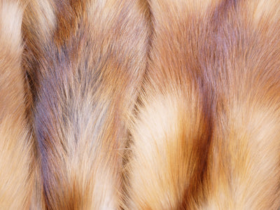 Red Fox - Dressed Fur Skin - Fur