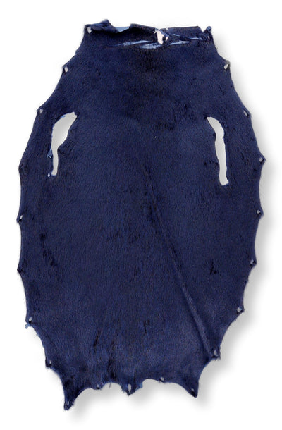 Ringed Seal (Ringsæl) Blue - Dressed Fur Skin - Fur
