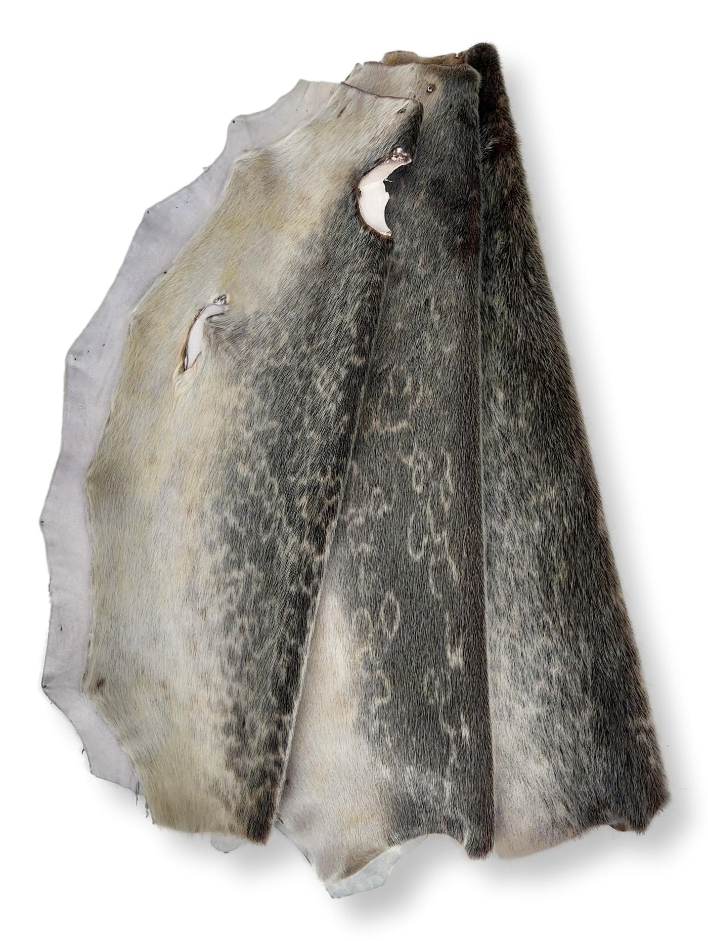 Seal skin blanket sales
